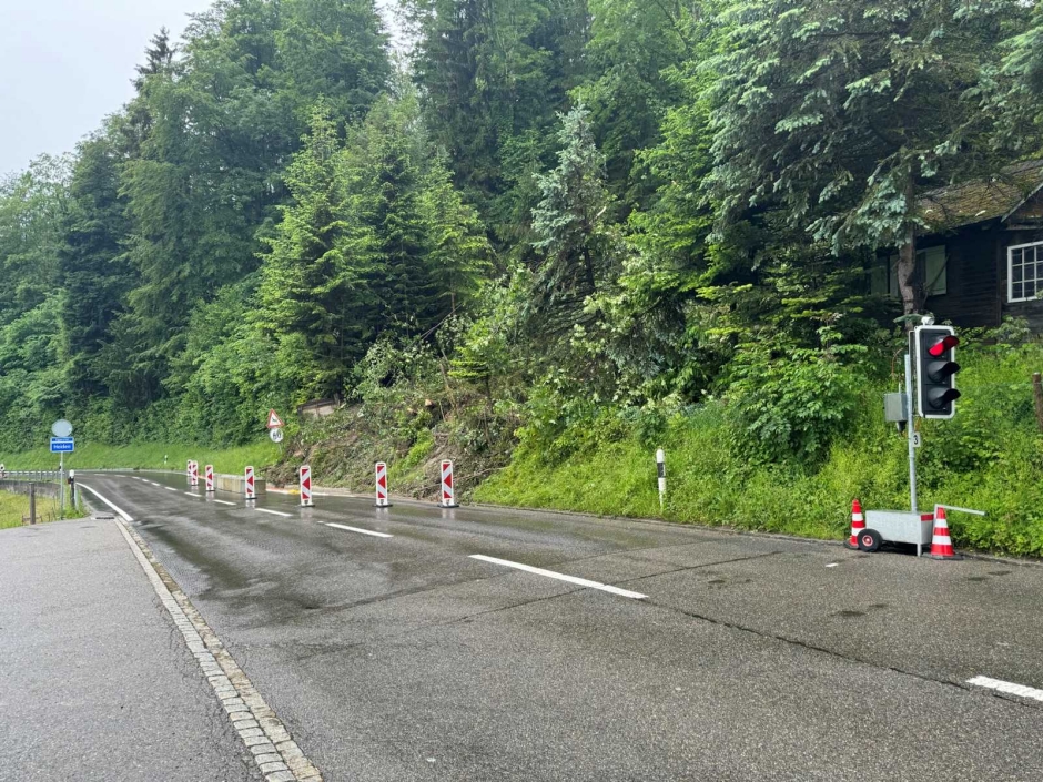 Martinsbruggstrasse Lichtsignalanlage